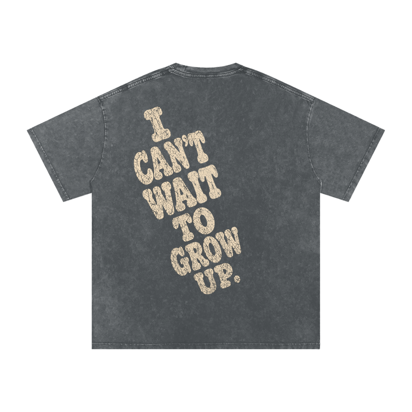 Snow Washed Oversized Cotton T-Shirt