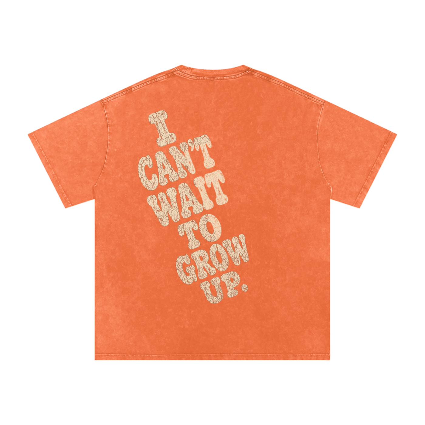 Snow Washed Oversized Cotton T-Shirt