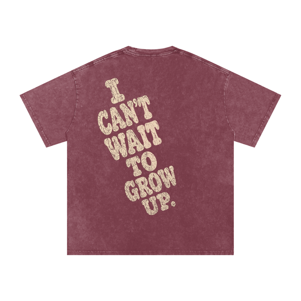 Snow Washed Oversized Cotton T-Shirt